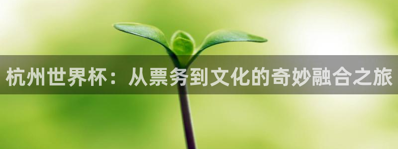世界杯2026赛程：杭州世界杯：从票务到文化的奇妙融合之旅