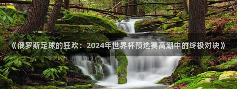 世界杯比赛赛程：《俄罗斯足球的狂欢：2024年世界杯预选赛高潮中的终极对决》