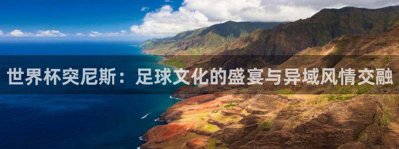 2026世界杯日期：世界杯突尼斯：足球文化的盛宴与异域风情交融