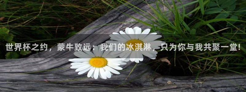 世界杯预选赛欧洲区赛程：世界杯之约，蒙牛致远：我们的冰淇淋，只为你与我共聚一堂!