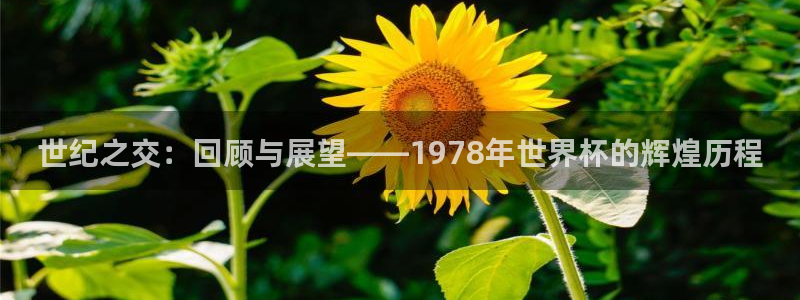 世界杯直播网：世纪之交：回顾与展望——1978年世界杯的辉煌历程