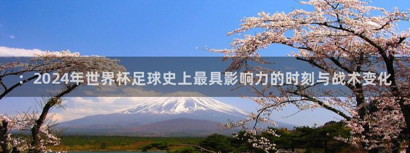 世界杯 2026：：2024年世界杯足球史上最具影响力的时刻与战术变化