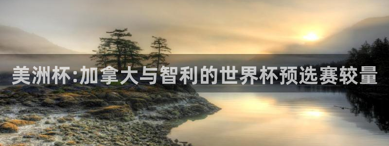 2026年世界杯直播平台：美洲杯:加拿大与智利的世界杯预选赛较量