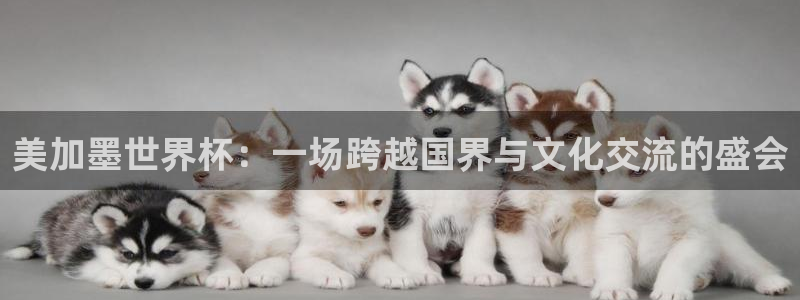 世界杯预选赛欧洲赛区赛程：美加墨世界杯：一场跨越国界与文化交流的盛会