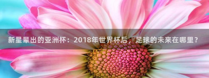 2006世界杯：新星辈出的亚洲杯：2018年世界杯后，足球的未来在哪里？