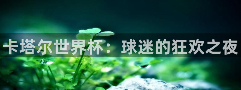 足球世界杯：卡塔尔世界杯：球迷的狂欢之夜