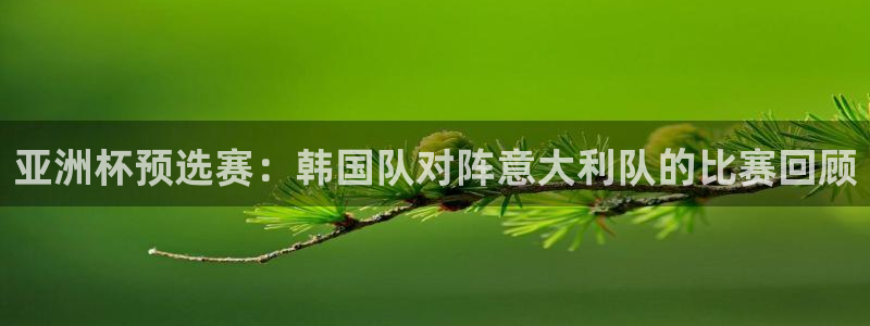 世预赛欧洲赛程表：亚洲杯预选赛：韩国队对阵意大利队的比赛回顾