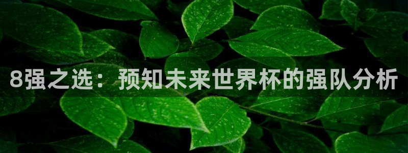 英格兰联赛杯直播：8强之选：预知未来世界杯的强队分析